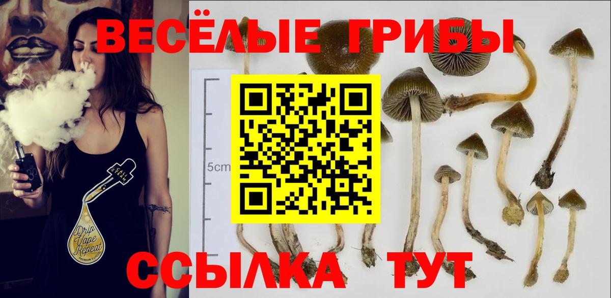 Псилоцибиновые грибы Psilocybe  Вход с VPN  Лесной  Псилоцибиновые грибы MAGIC MUSHROOMS 