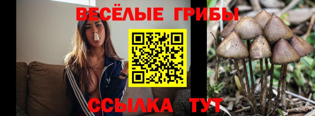 Псилоцибиновые грибы ЛСД Лесной